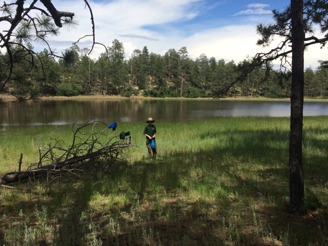 2015-07-05-Philmont-5star-014-Upper-Bench-Dax.jpg