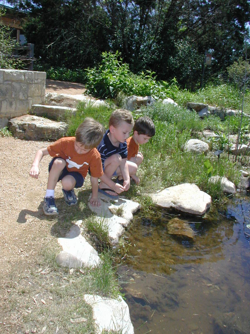 2004-04-01-wildflower-center-11-Chance-Vale-Dax.JPG