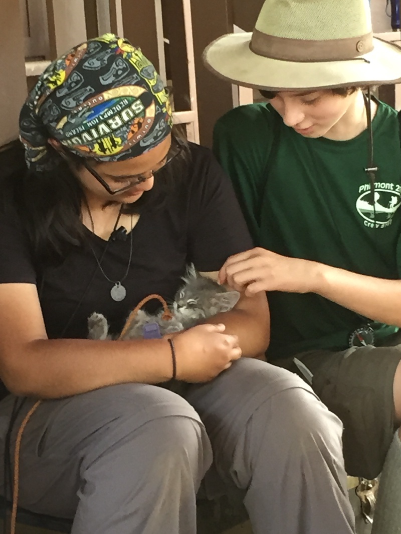 2015-07-04-Philmont-4star-10-Clarks-Fork-Rhys-Dax-kitty.JPG