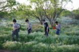 2012-03-31-Troop214-District-Camporee-Wolf-Mountain-04-Dax-Case.JPG