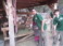 2015-07-01-Philmont-4star-18-New-Abreau-milking-goat-Sebastian-Dax.JPG