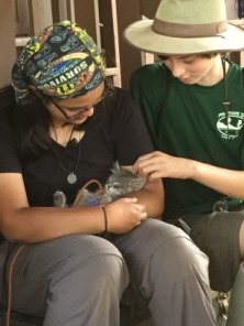 2015-07-04-Philmont-4star-10-Clarks-Fork-Rhys-Dax-kitty.JPG