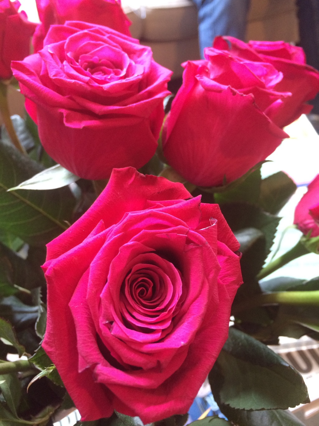 2017-01-25-Flowers-1.JPG