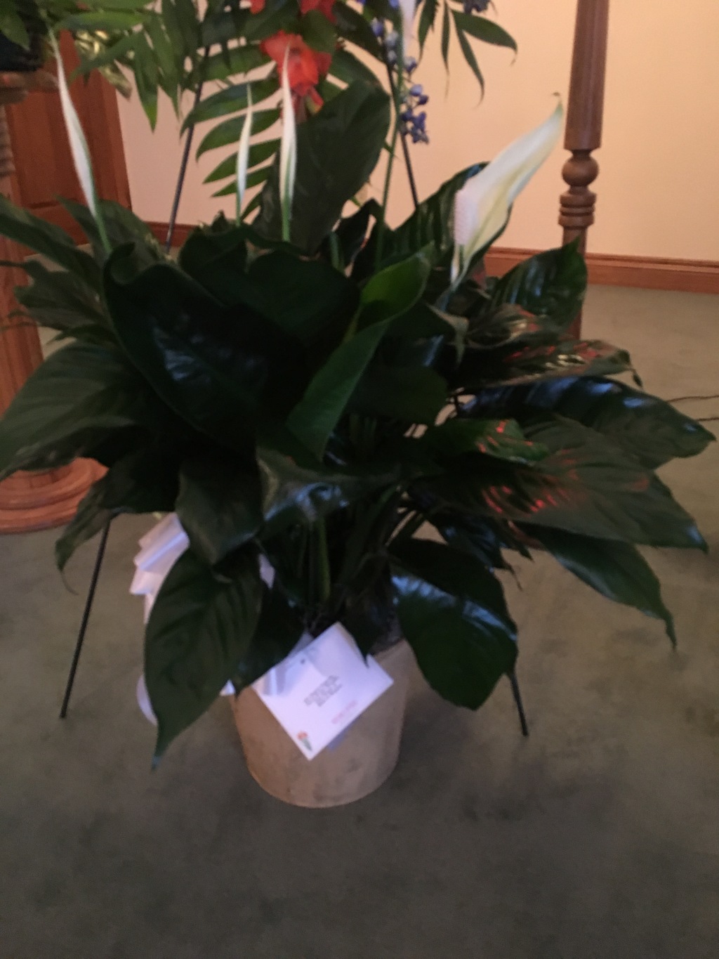 2017-02-02-Grammy-Funeral-13-Flowers.JPG