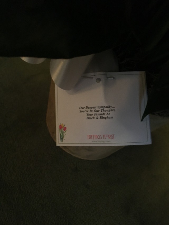 2017-02-02-Grammy-Funeral-14-Flowers.JPG