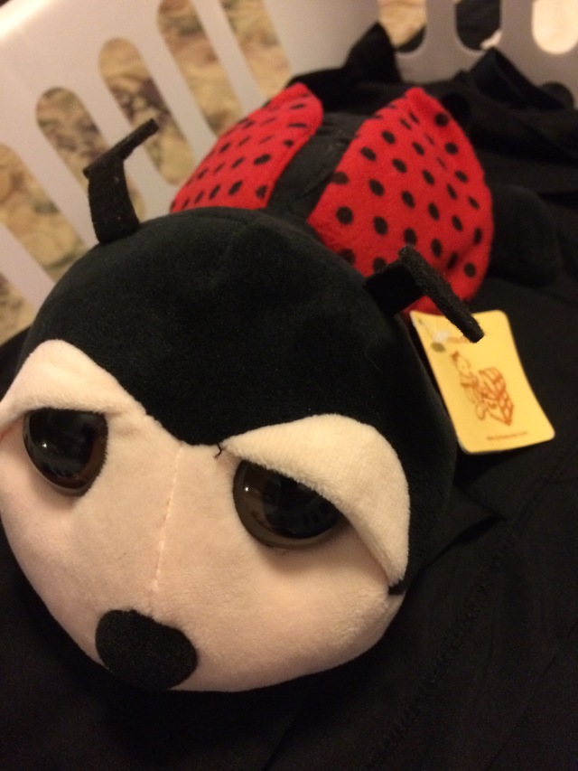 2017/01(January)/Grammy-items/640x480_2017-01-Grammy-Items-10-Ladybug.JPG