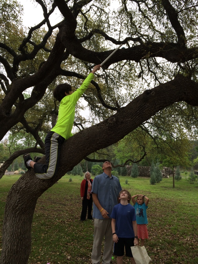 2015-04-05-Easter-083-Dax-Susana-Travis-Sydney-Ian.JPG