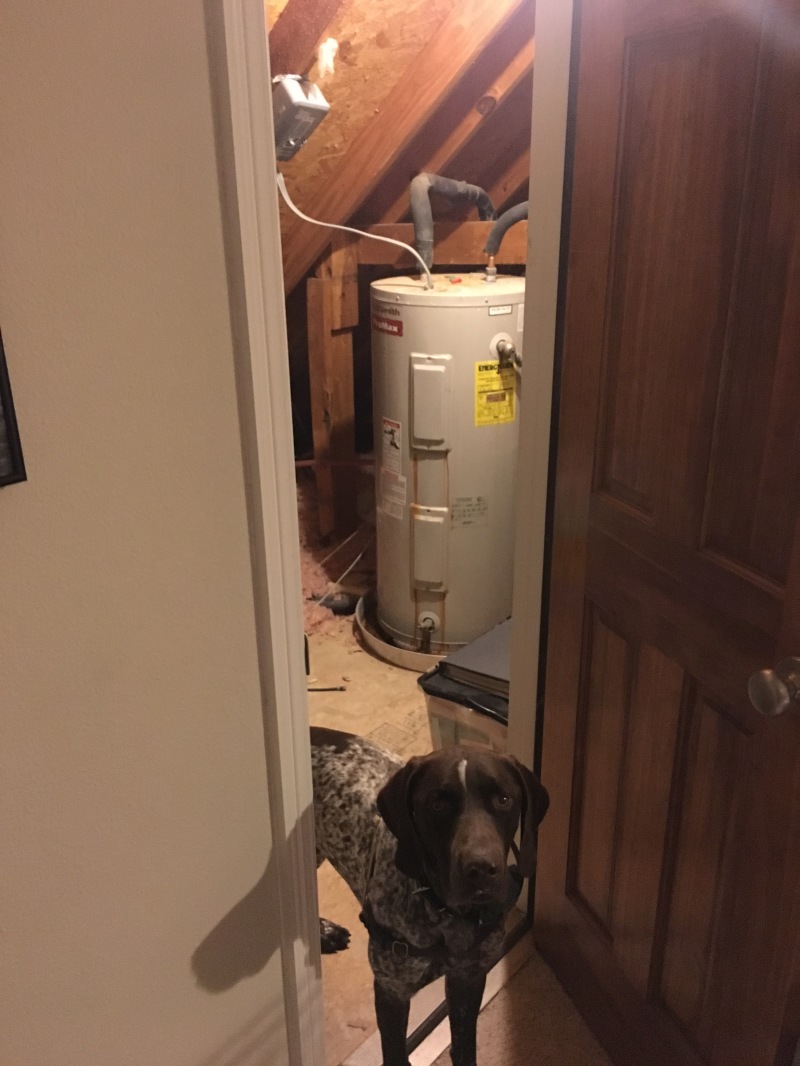 2017/02(February)/Broken-Water-Heater-New-Garage-Door/800x600_2017-02-09-Broken-upstairs-water-heater-6.JPG