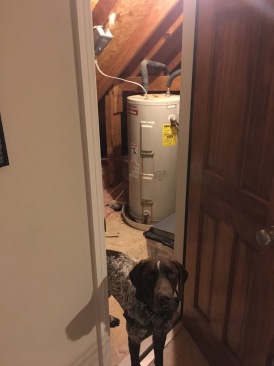 2017-02-09-Broken-upstairs-water-heater-6.JPG