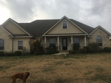2017-02-19-House-with-Bevo-1-Blaze.JPG