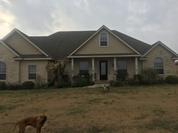 2017-02-19-House-with-Bevo-2-Blaze.JPG