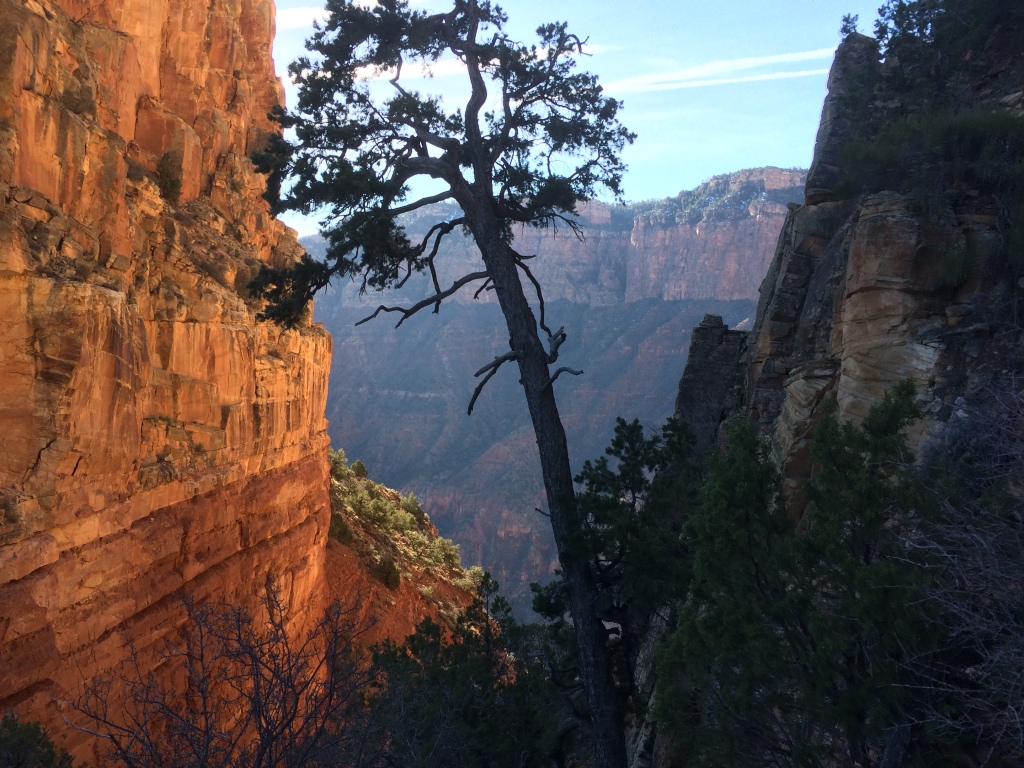 2017/03(March)/Grand-Canyon-Best/1024x768_2017-03-13-Grand-Canyon-Day1-26.JPG
