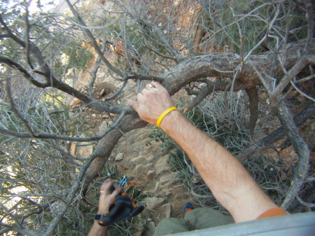 2017/03(March)/Grand-Canyon-Best/640x480_2017-03-13-Grand-Canyon-Day1-20-going-under-a-fallen-tree.JPG
