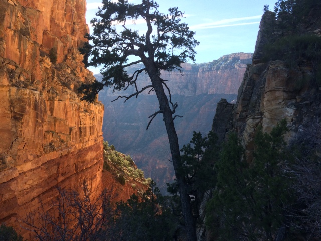 2017/03(March)/Grand-Canyon-Best/640x480_2017-03-13-Grand-Canyon-Day1-26.JPG
