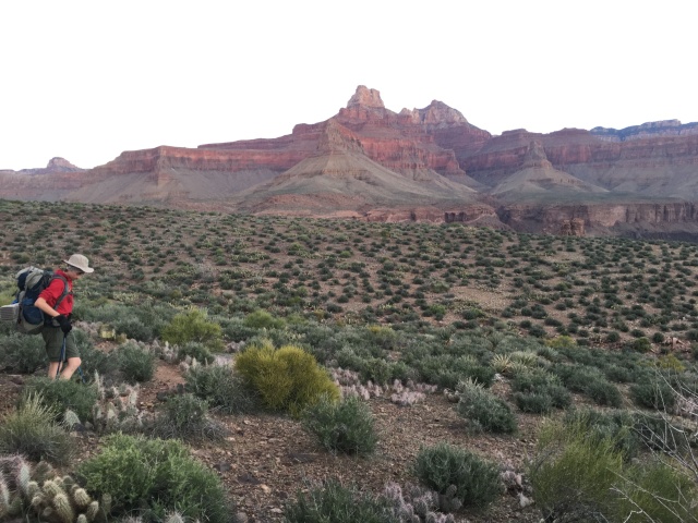 2017/03(March)/Grand-Canyon-Best/640x480_2017-03-15-Grand-Canyon-Day3-01-Dax.JPG
