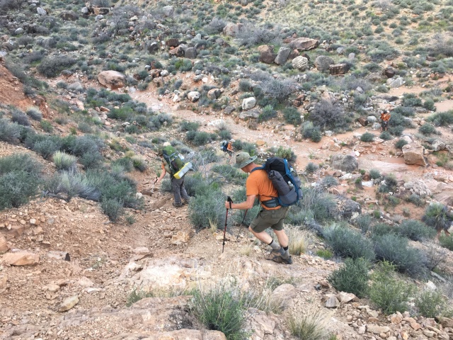 2017/03(March)/Grand-Canyon-Best/640x480_2017-03-15-Grand-Canyon-Day3-02-Pat-Ben-Dax-Sebastian.JPG