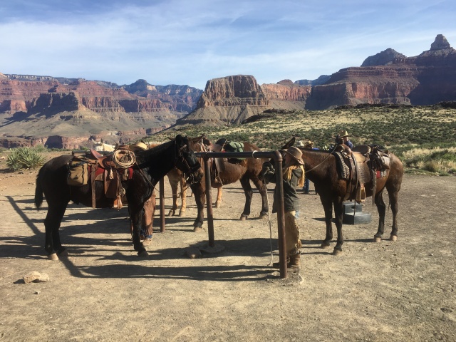 2017/03(March)/Grand-Canyon-Best/640x480_2017-03-15-Grand-Canyon-Day3-04.JPG