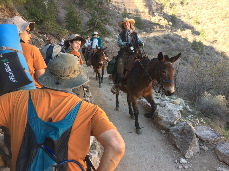 2017/03(March)/Grand-Canyon-Best/800x600_2017-03-17-Grand-Canyon-Day5-08-Dax-Pat-Sebastian-donkeys.JPG