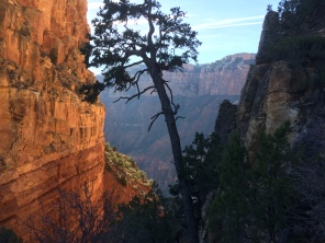 2017-03-13-Grand-Canyon-Day1-26.JPG