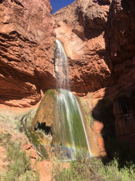 2017-03-16-Grand-Canyon-Day4-06-Ribbon-Falls.JPG
