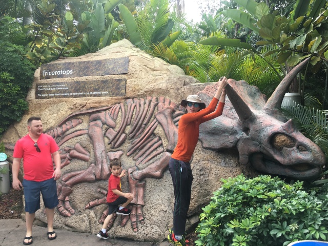 2017/03(March)/Universal-Studios/640x480_2017-03-24-Universal-Studios-13-Dax.JPG