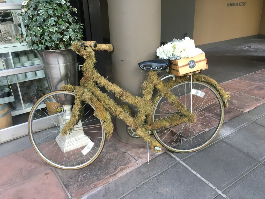 2017-04-27-Seattle-ERM-VA-work-trip-19-bicycle.JPG