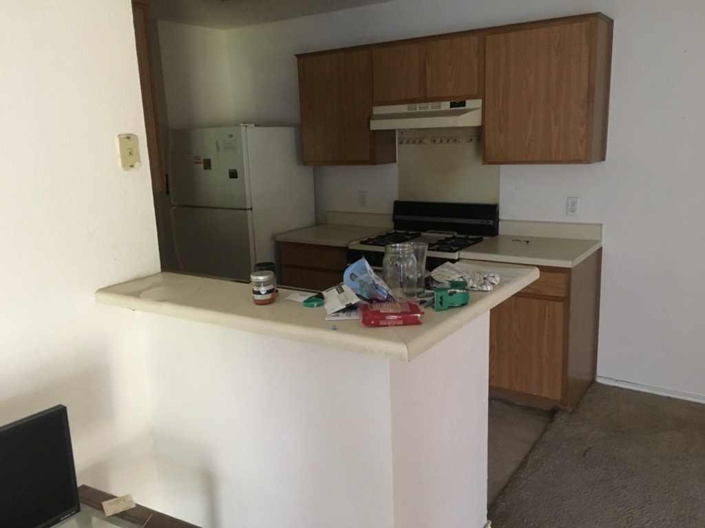 2017/05(May)/Duplex-Renters-left-a-mess/1024x768_2017-05-02-Disraeli-Duplex-renters-mess-10.JPG