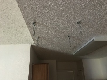 2017-05-02-Disraeli-Duplex-renters-mess-11.JPG