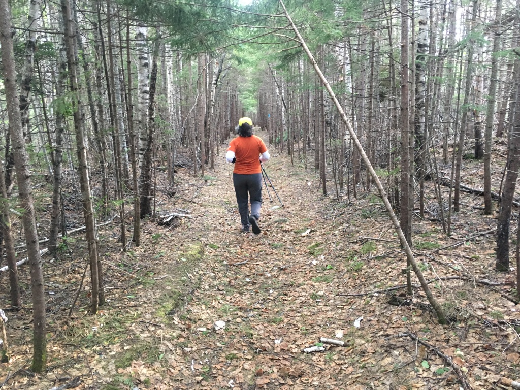 2017/05(May)/Maine-Mt-Katahdin/1024x768_2017-05-27-Mt-Katahdin-160-Suzi.JPG