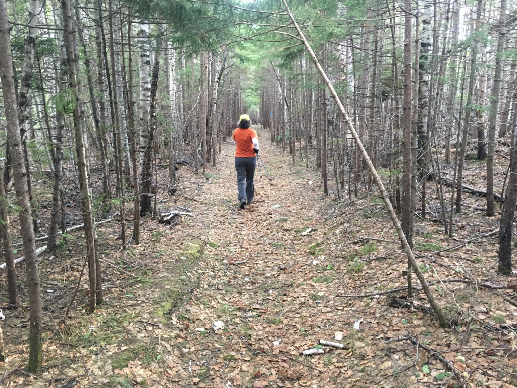 2017/05(May)/Maine-Mt-Katahdin/1024x768_2017-05-27-Mt-Katahdin-161-Suzi.JPG