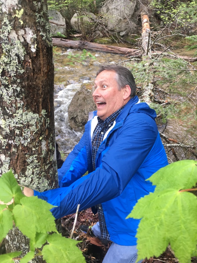 2017/05(May)/Maine-Mt-Katahdin/640x480_2017-05-26-Baxter-State-Park-09-Steve-doing-something-to-a-tree-GOOD.JPG