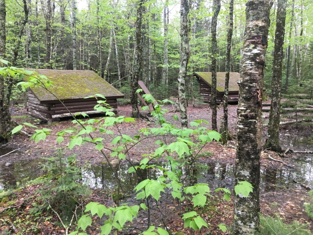 2017/05(May)/Maine-Mt-Katahdin/640x480_2017-05-26-Baxter-State-Park-11-Birches-campsite.JPG