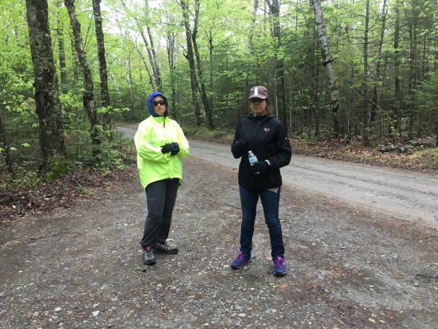 2017-05-26-Baxter-State-Park-14-Birches-campsite-Suzi-Terry.JPG