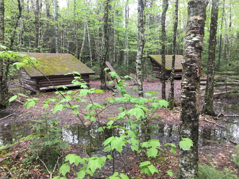 2017/05(May)/Maine-Mt-Katahdin/800x600_2017-05-26-Baxter-State-Park-11-Birches-campsite.JPG