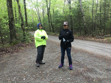 2017-05-26-Baxter-State-Park-14-Birches-campsite-Suzi-Terry.JPG