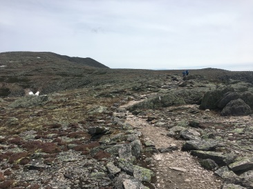 2017-05-27-Mt-Katahdin-057.JPG