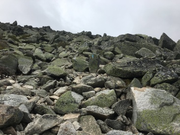 2017-05-27-Mt-Katahdin-159.JPG