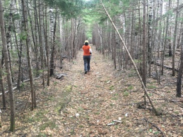 2017-05-27-Mt-Katahdin-161-Suzi.JPG
