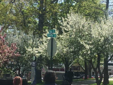 2017-05-28-Maine-02.JPG