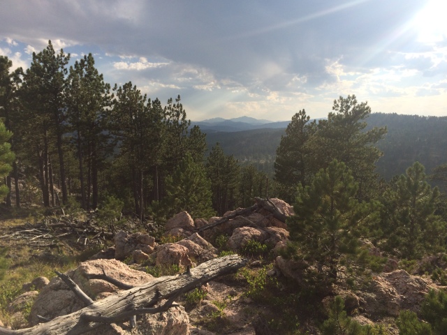 2017-08-20-Wyoming-Medicine-Bow-National-Forest-13.JPG