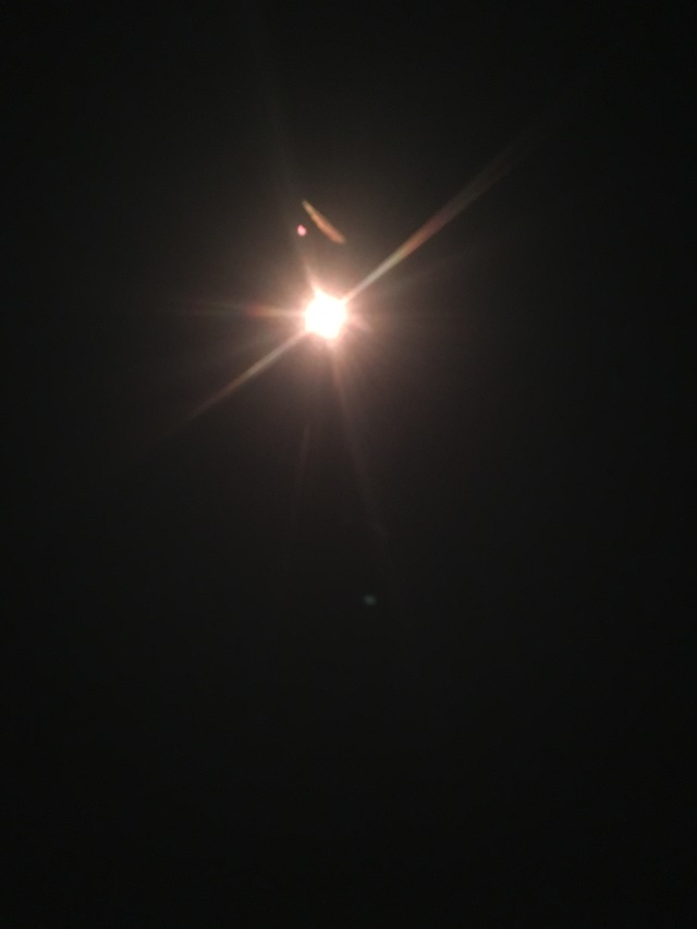 2017-08-21-Eclipse-Day-26-Medicine-Bow-National-Forest.JPG