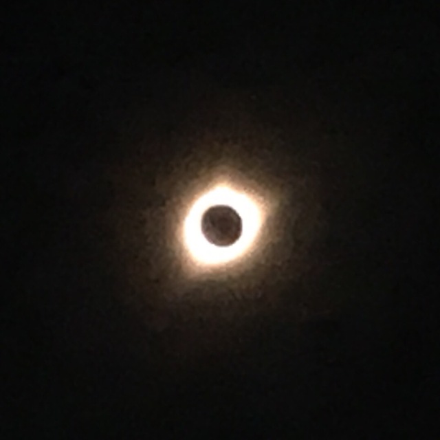 2017-08-21-Eclipse-Day-43-Medicine-Bow-National-Forest-GOOD.JPG