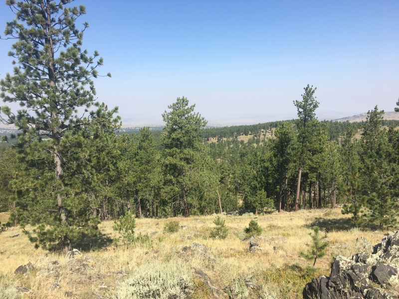 2017-08-20-Wyoming-Medicine-Bow-National-Forest-03.JPG