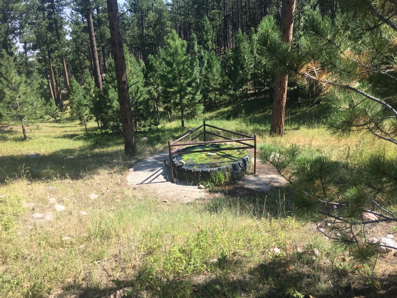 2017-08-20-Wyoming-Medicine-Bow-National-Forest-05.JPG