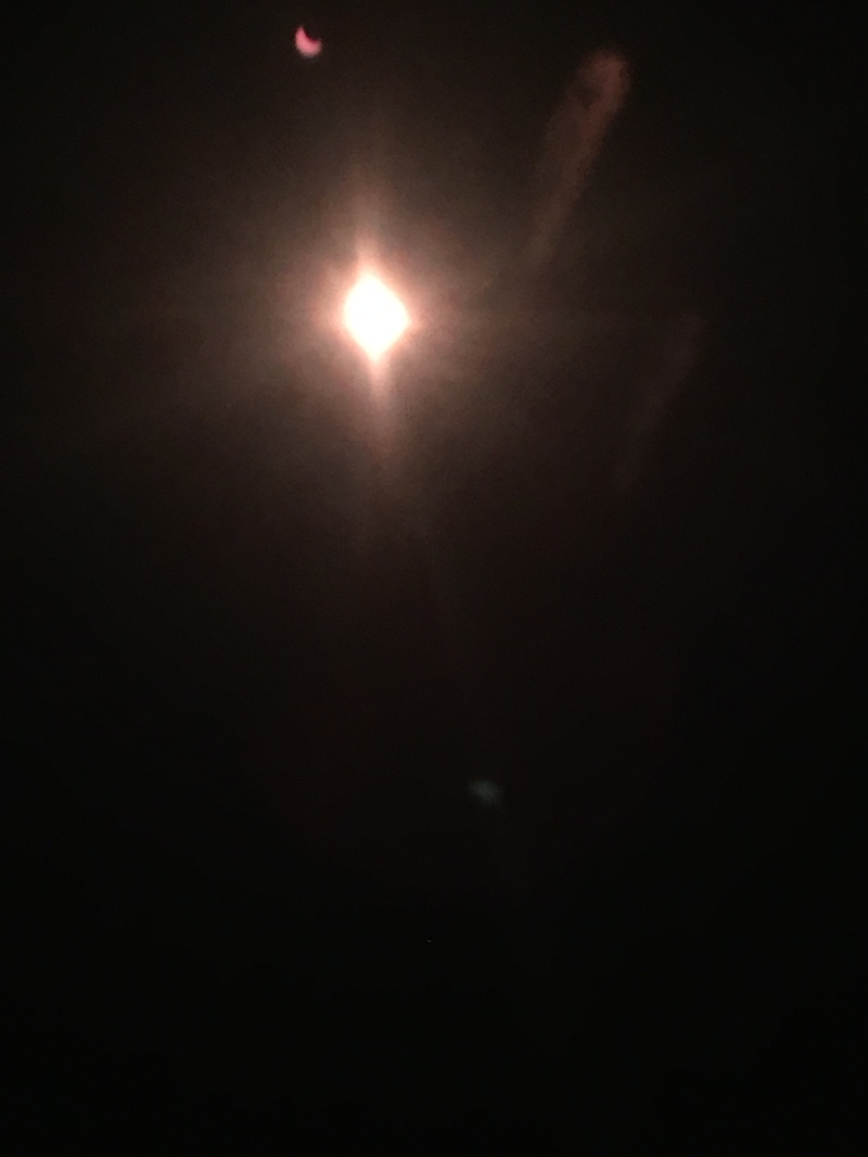 2017-08-21-Eclipse-Day-29-Medicine-Bow-National-Forest.JPG