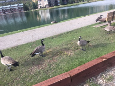 2017-08-14-Breckenridge-3.JPG