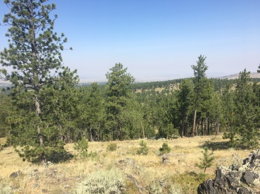 2017-08-20-Wyoming-Medicine-Bow-National-Forest-03.JPG