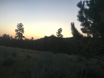 2017-08-21-Eclipse-Day-01-Medicine-Bow-National-Forest.JPG