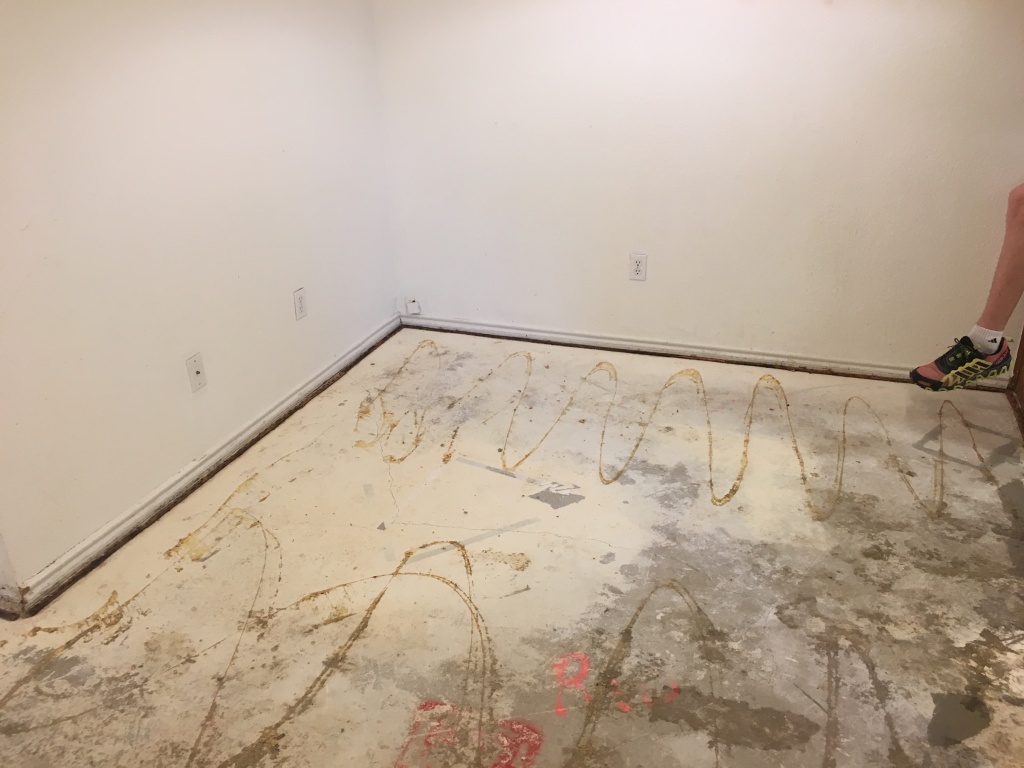 2017/08(August)/Duplex-renter-mess/1024x768_2017-08-05-Disraeli-Renter-Mess-11.JPG
