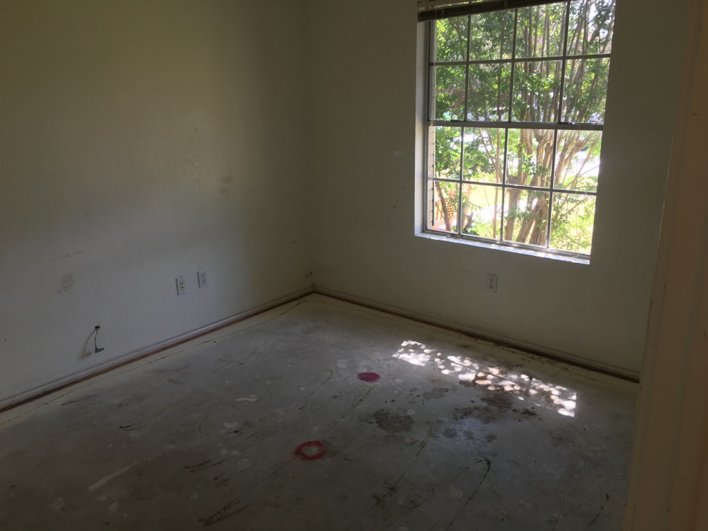 2017/08(August)/Duplex-renter-mess/1024x768_2017-08-05-Disraeli-Renter-Mess-14.JPG